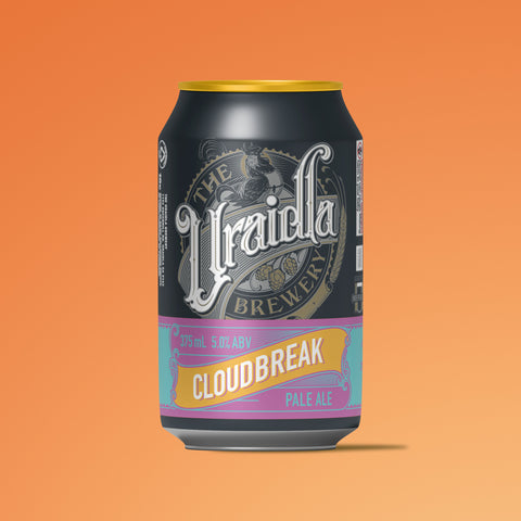 PALE ALE 24 X 375ML TRAY