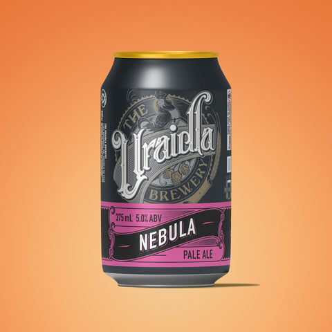 PALE ALE 24 X 375ML TRAY